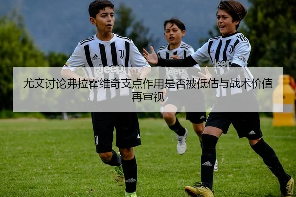 尤文讨论弗拉霍维奇支点作用是否被低估与战术价值再审视